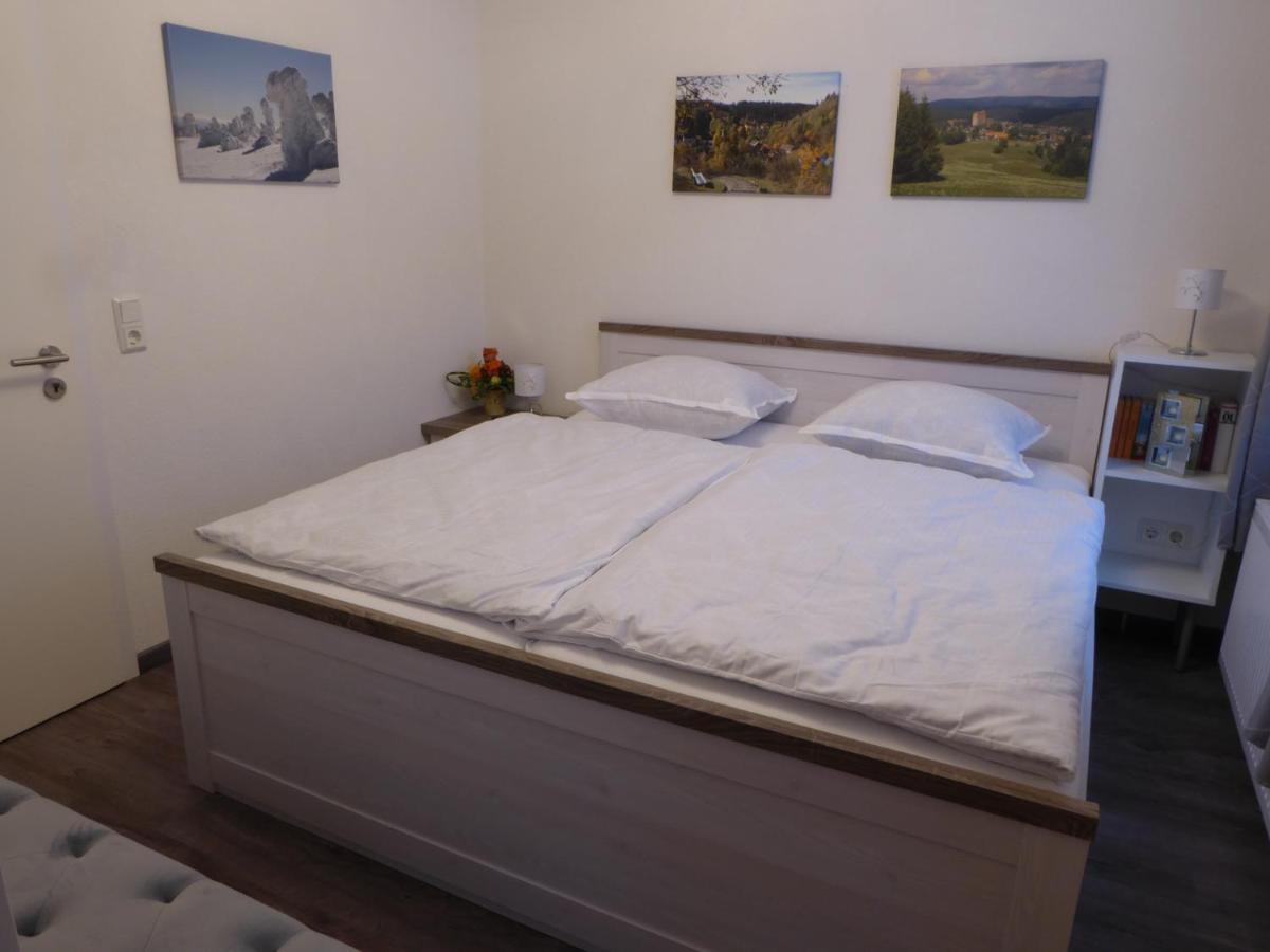 Haus Am Hang Altenau  Exteriér fotografie